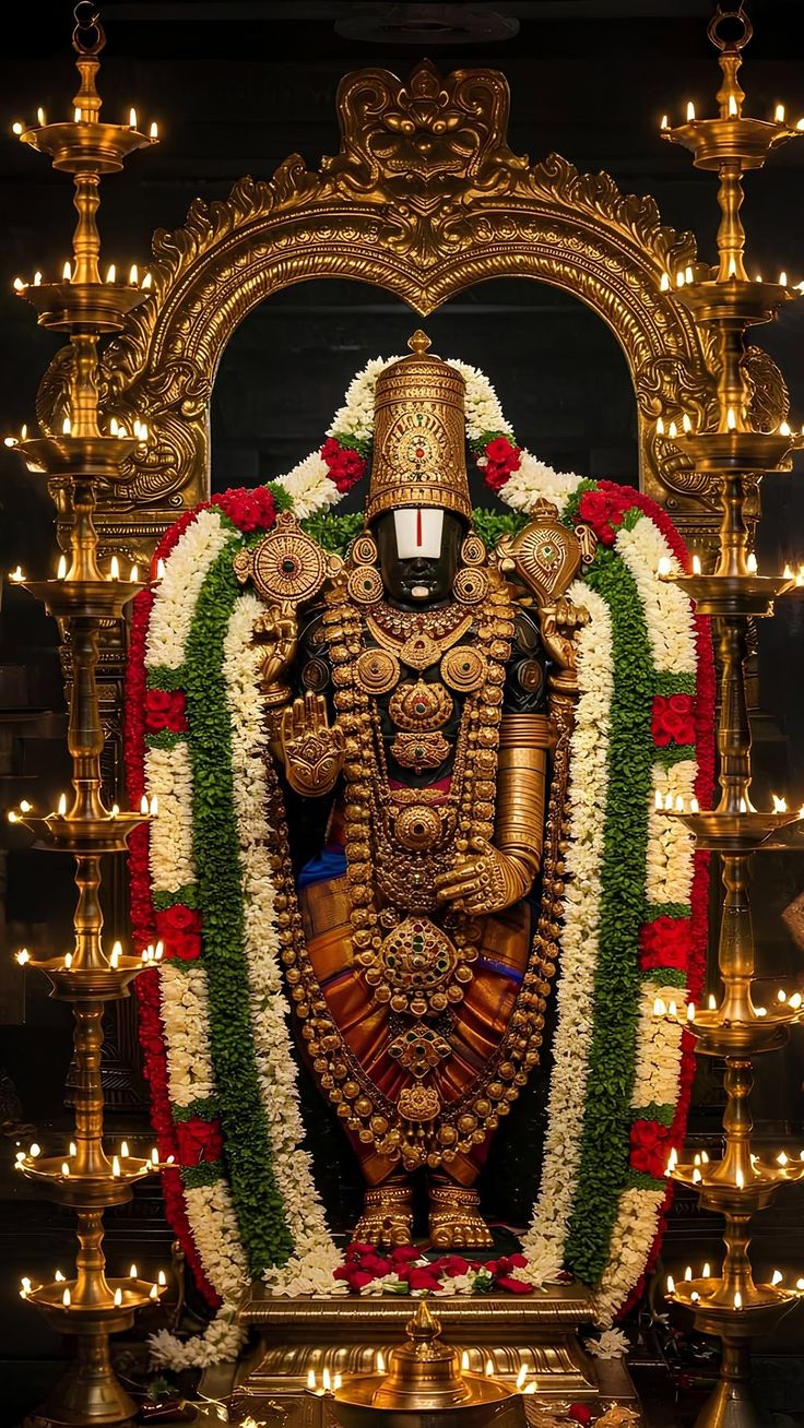Sri Venkateswara Swamy - Sri Venkateswara Swamy View