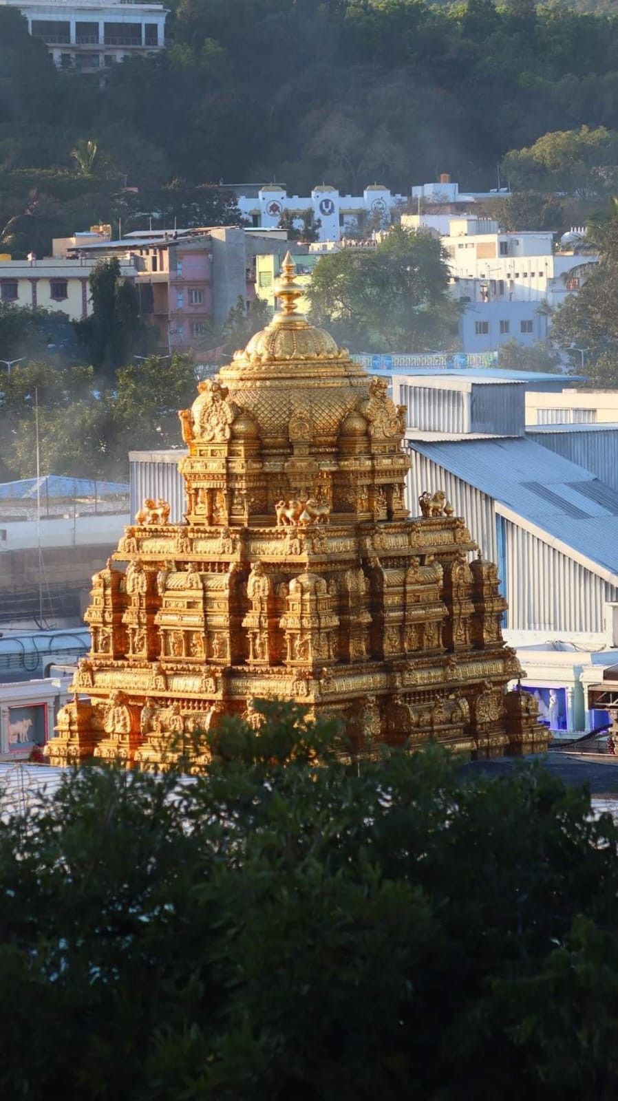 Sri Venkateswara Swamy - Sri Venkateswara Swamy View
