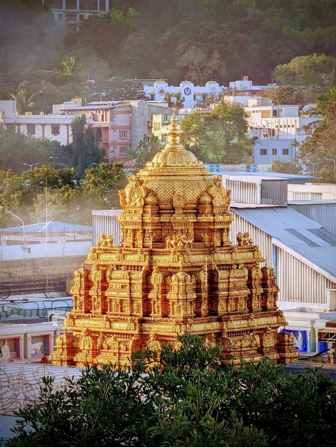 Sri Venkateswara Swamy - Sri Venkateswara Swamy View